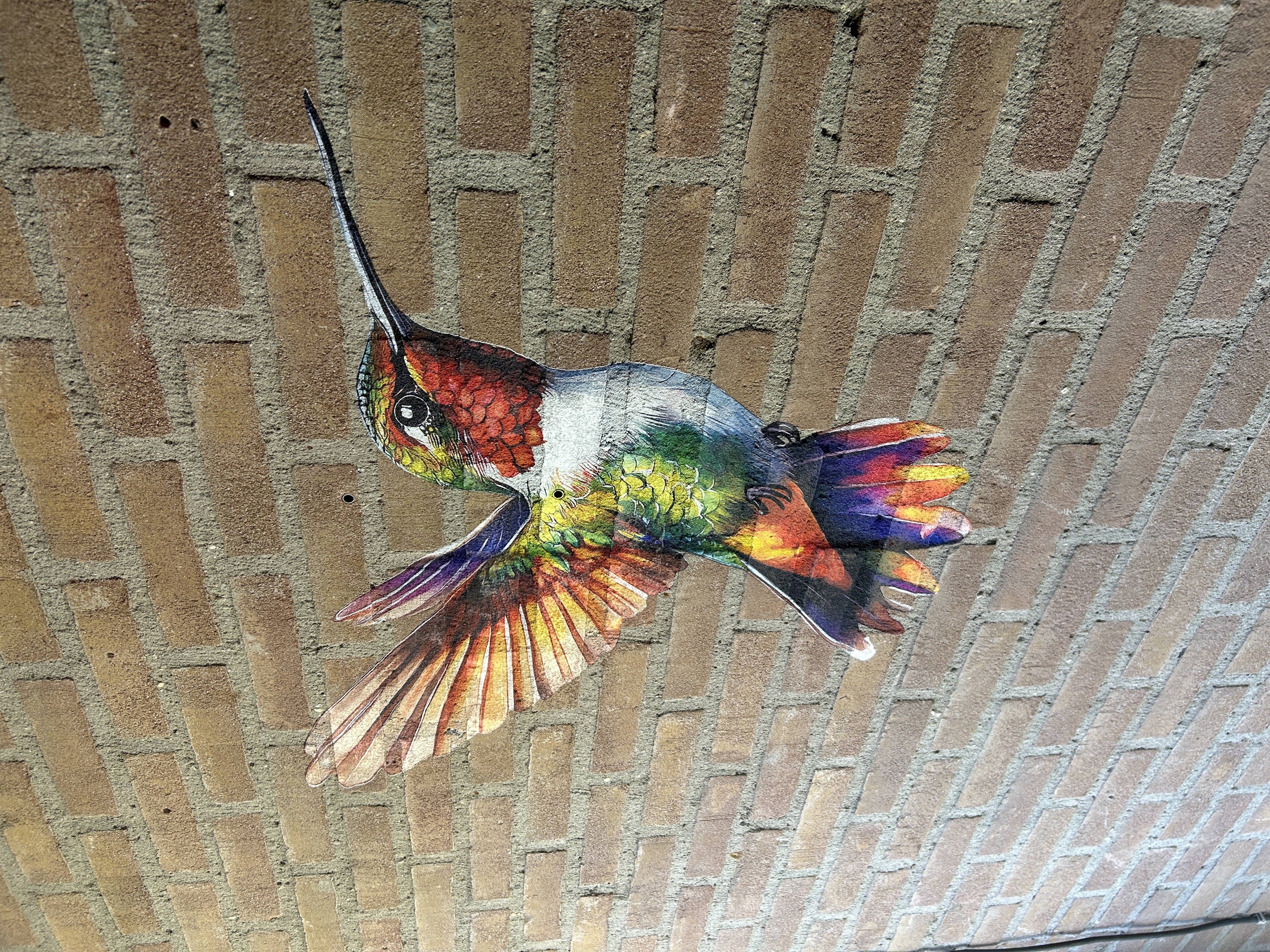Buitenprint van een kolibrie op baksteen in Kaatsheuvel, met UV-geharde inkt en witte basislaag voor een kleurrijk en duurzaam resultaat.