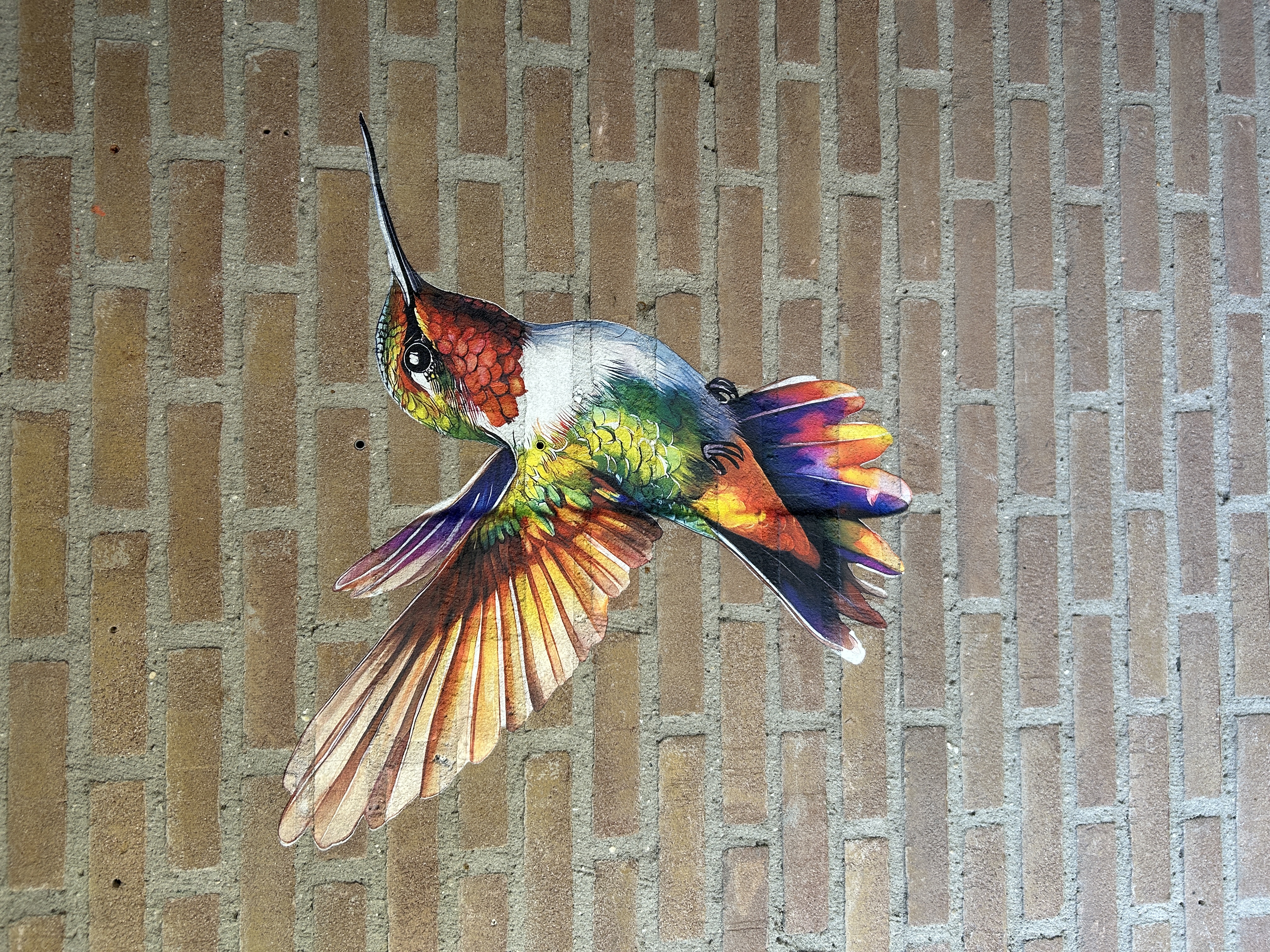 Kleurrijke kolibrie als buitenmuurprint op een bakstenen muur, direct geprint met witte onderlaag voor heldere kleuren en scherpe details.