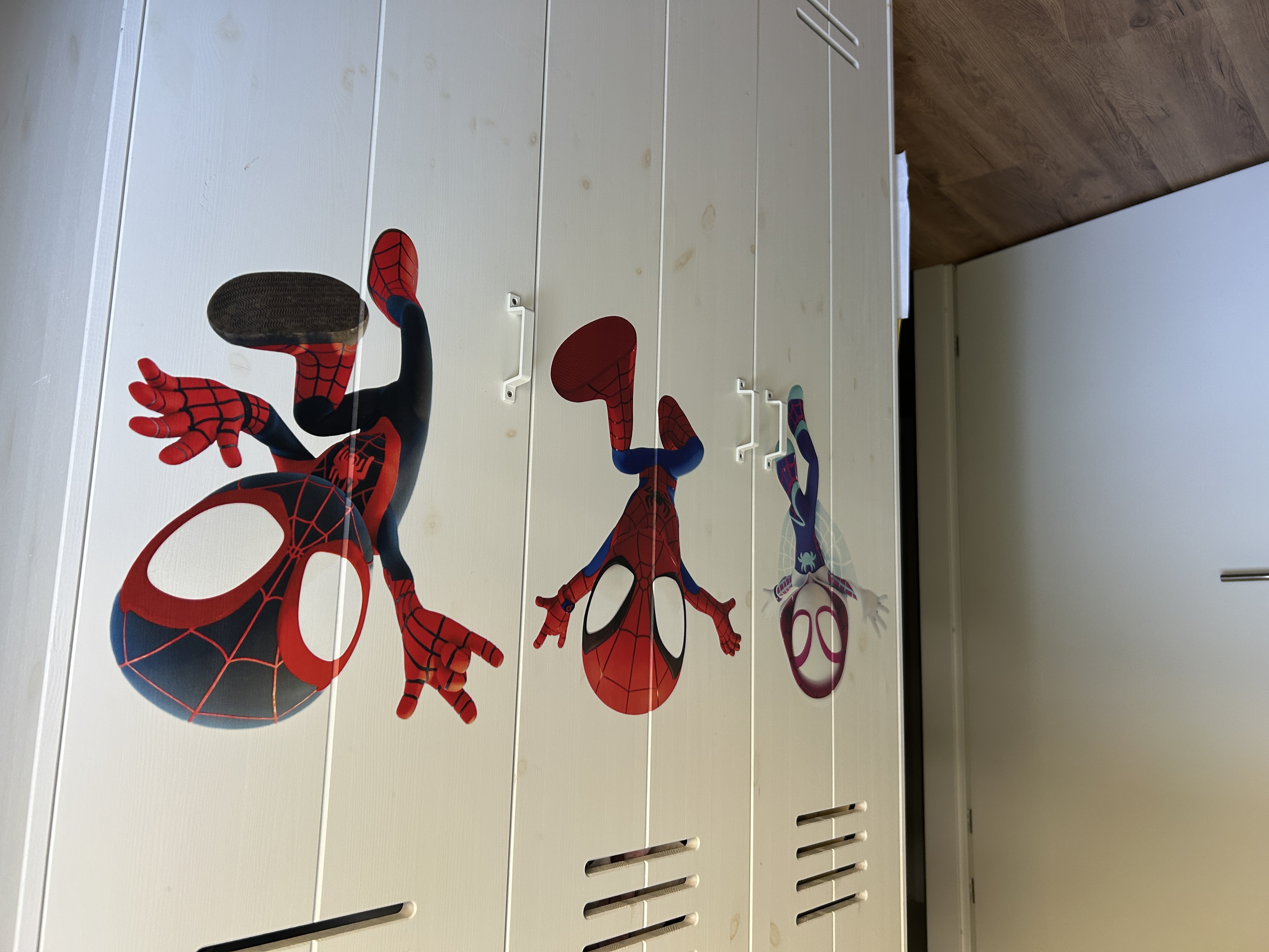 Spidey and Friends - Particulier
